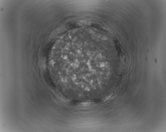 X0000071760323200607282154