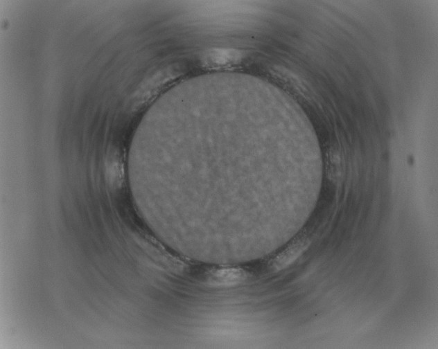 X0000071760324200607282154