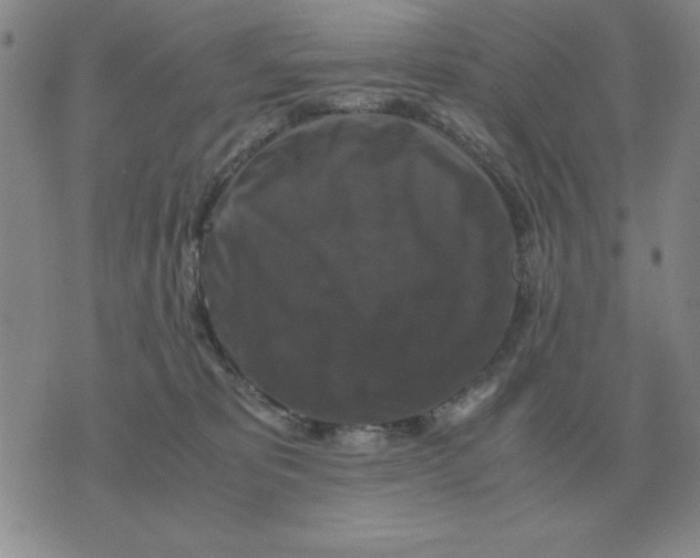 X0000071760325200607282154