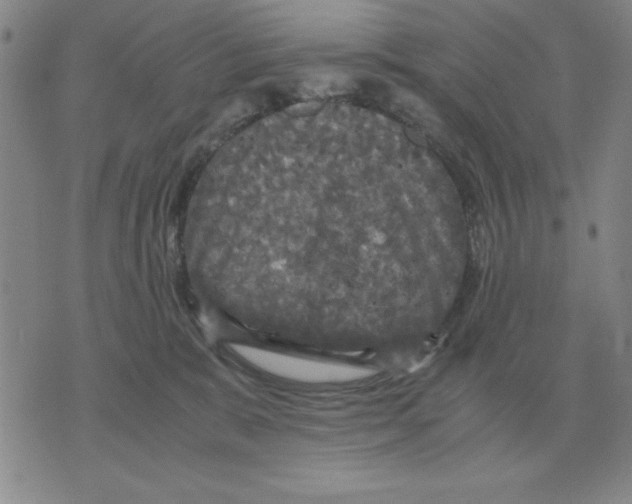 X0000071760327200607282154