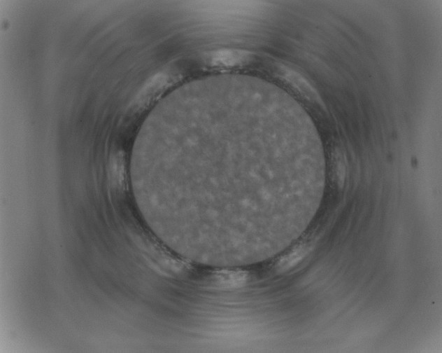 X0000071760328200607282154