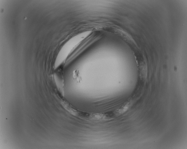 X0000071760329200607282154