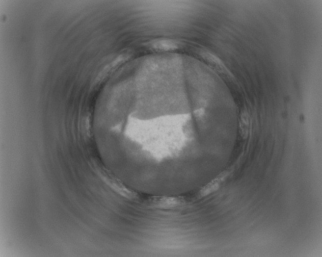 X0000071760330200607282154