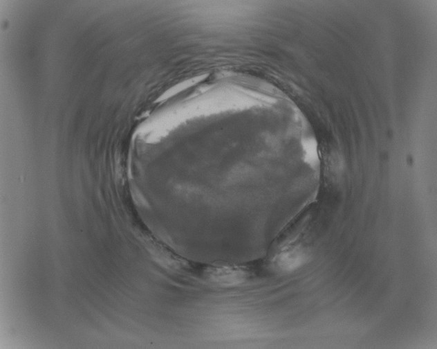 X0000071760331200607282154