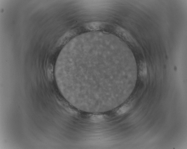 X0000071760332200607282154