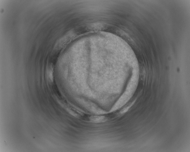 X0000071760334200607282154