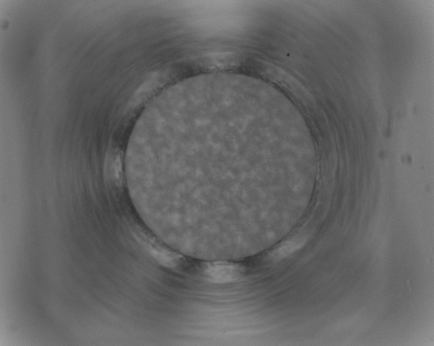 X0000071760336200607282154