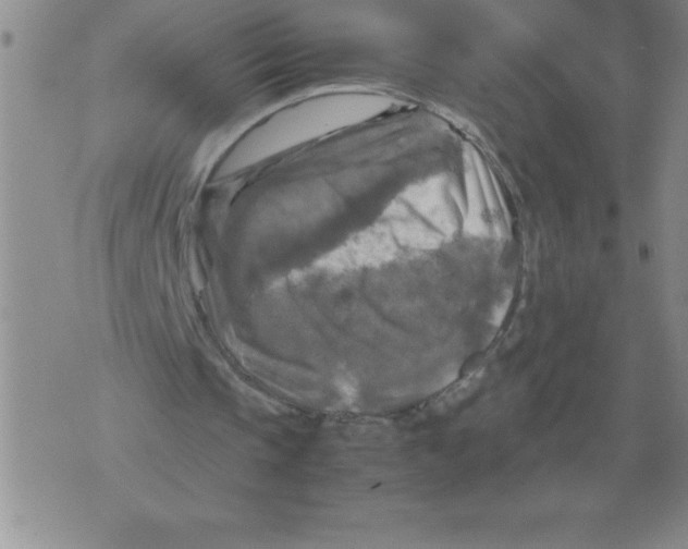 X0000071760337200607282153