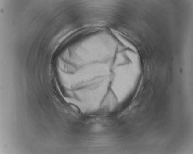 X0000071760338200607282153