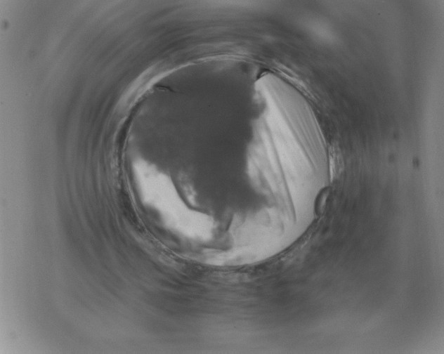 X0000071760339200607282153