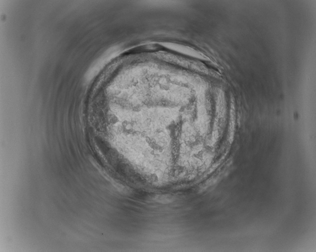 X0000071760341200607282153