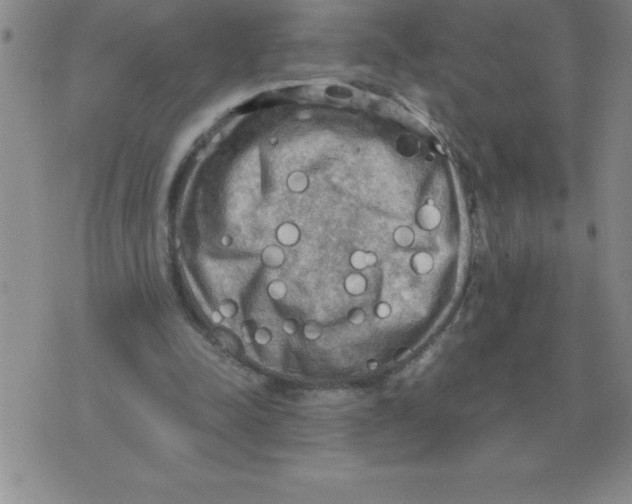 X0000071760342200607282153