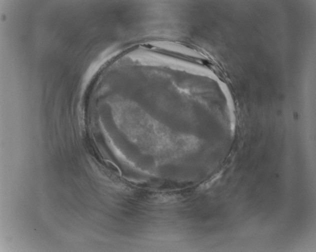 X0000071760343200607282153