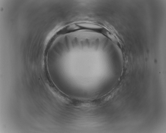 X0000071760344200607282153