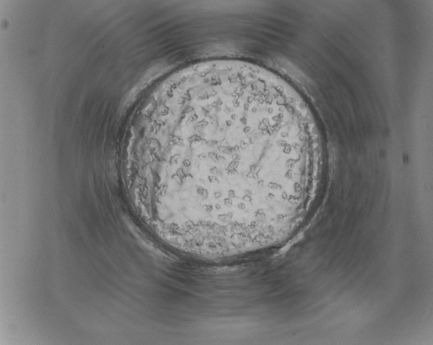 X0000071760345200607282153