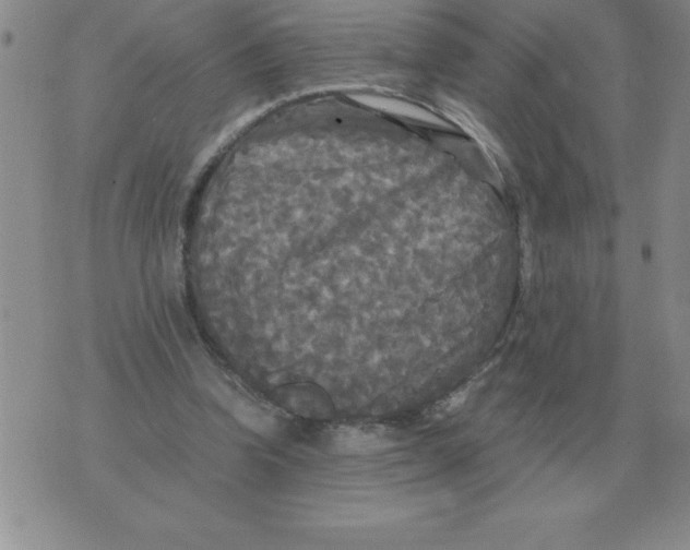 X0000071760346200607282153