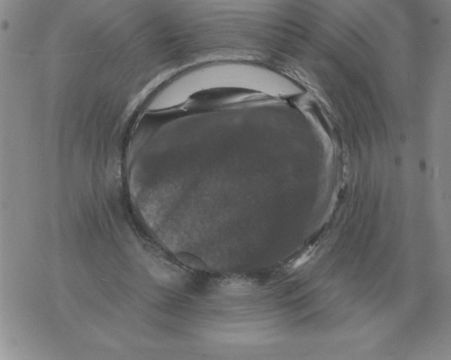 X0000071760348200607282153