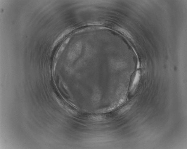 X0000071760349200607282153