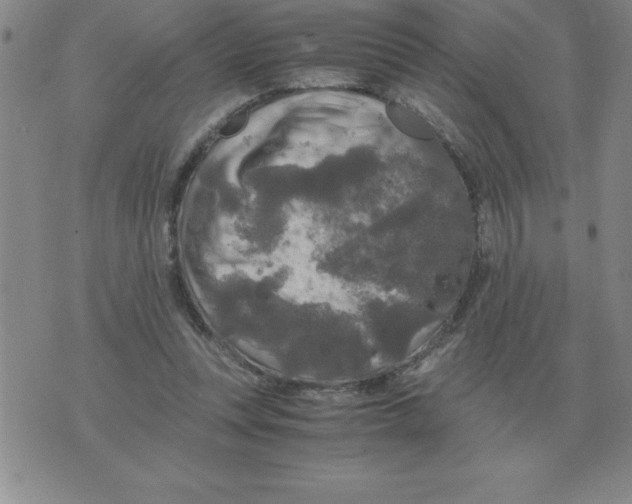 X0000071760351200607282153