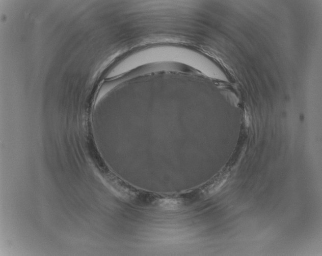 X0000071760352200607282153