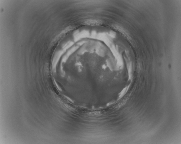 X0000071760353200607282153