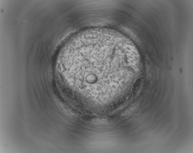 X0000071760354200607282153