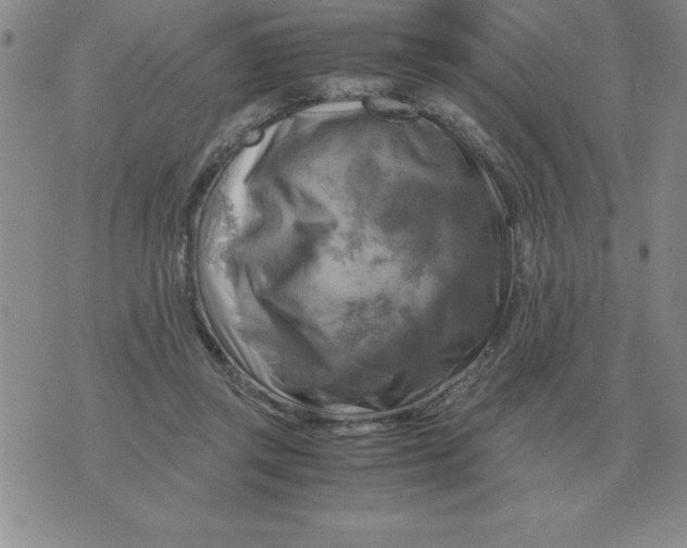 X0000071760357200607282153