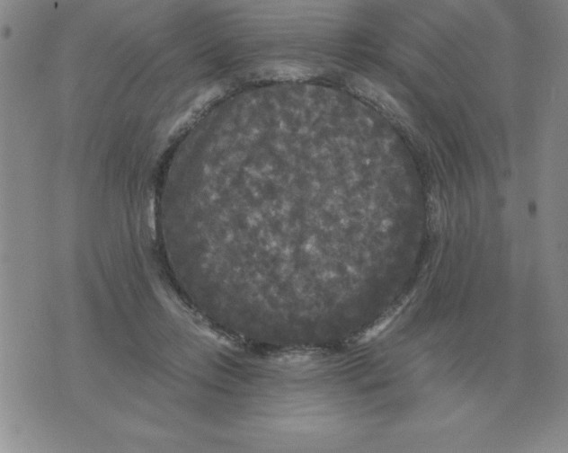 X0000071760358200607282153