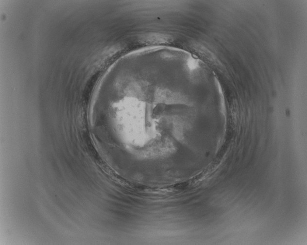 X0000071760359200607282153