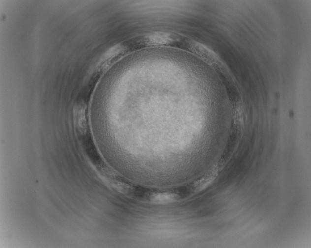 X0000071760360200607282153