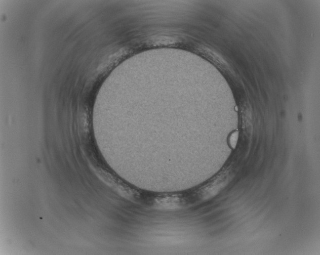 X0000071760362200607282153