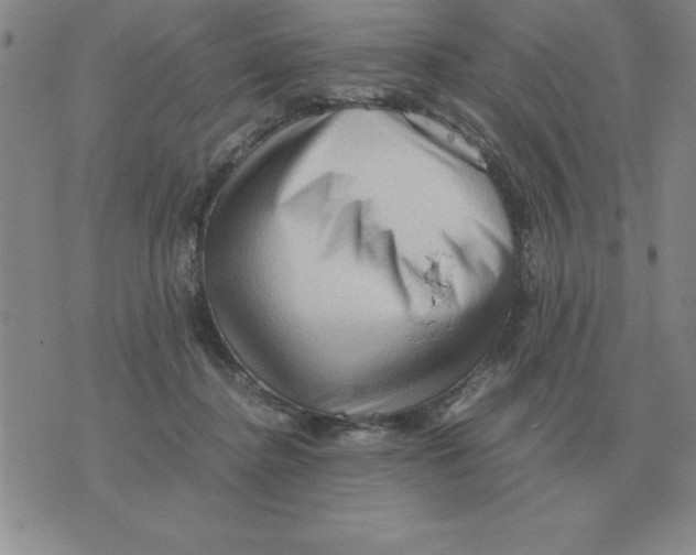 X0000071760364200607282153