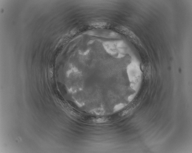 X0000071760365200607282153