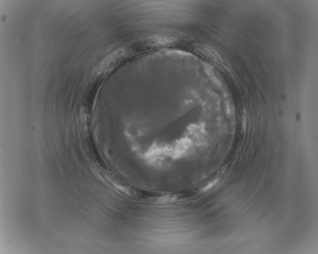 X0000071760366200607282153