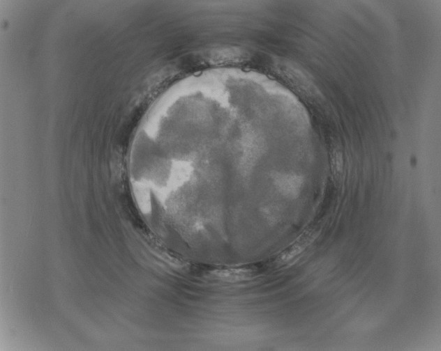 X0000071760367200607282153