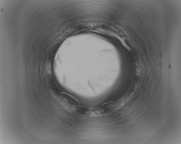 X0000071760368200607282153