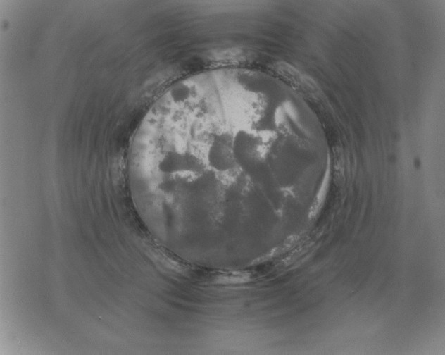 X0000071760369200607282153