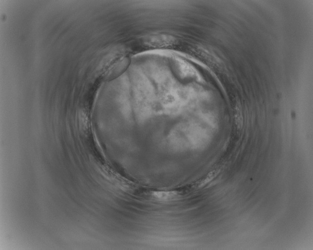 X0000071760371200607282154