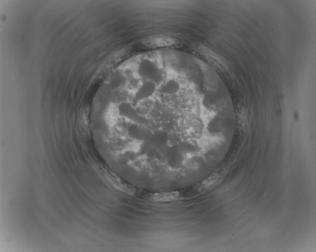 X0000071760373200607282154