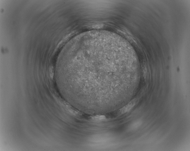 X0000071760374200607282154