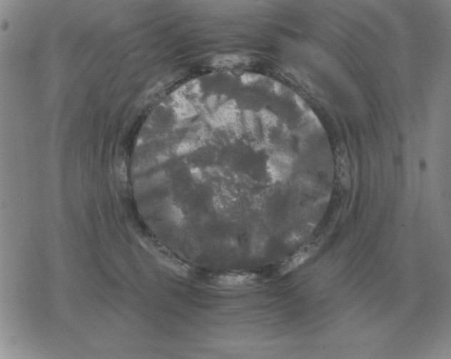 X0000071760375200607282154