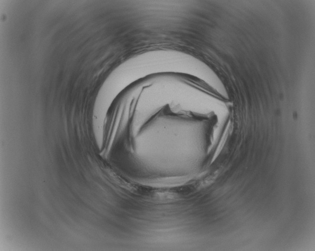 X0000071760376200607282154