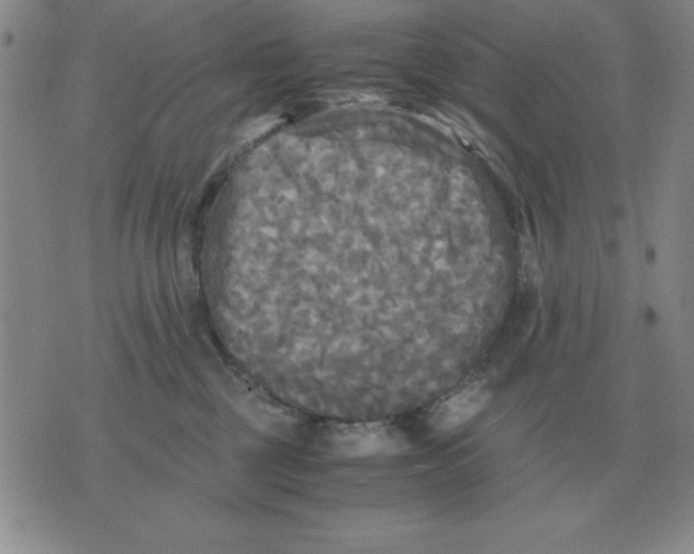 X0000071760377200607282154