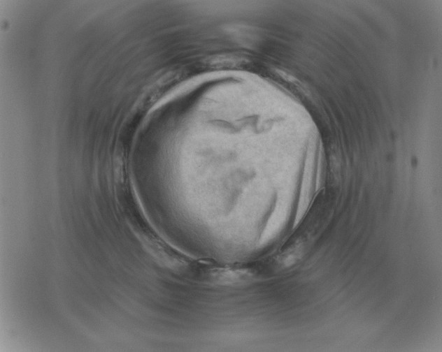 X0000071760379200607282154