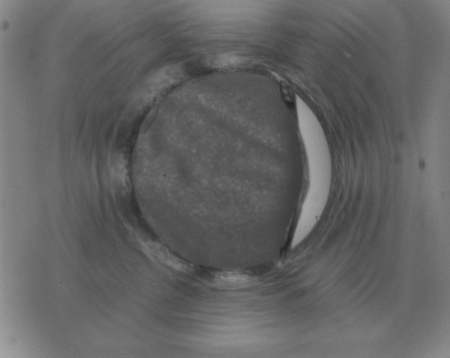 X0000071760380200607282154