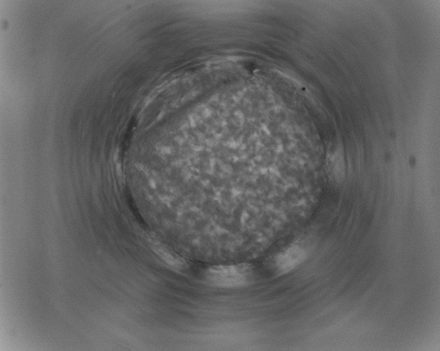 X0000071760381200607282154