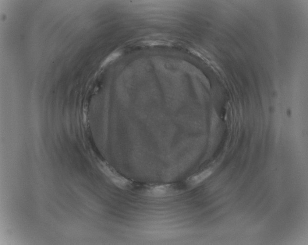 X0000071760382200607282154