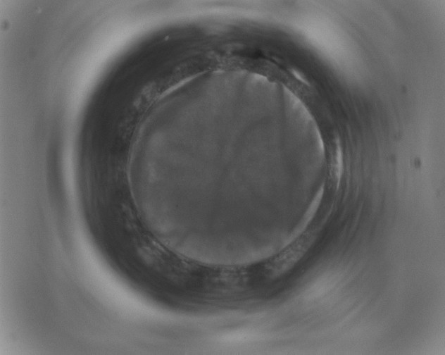 X0000071760383200607282154