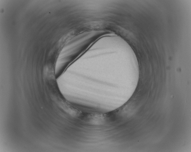 X0000071760384200607282154