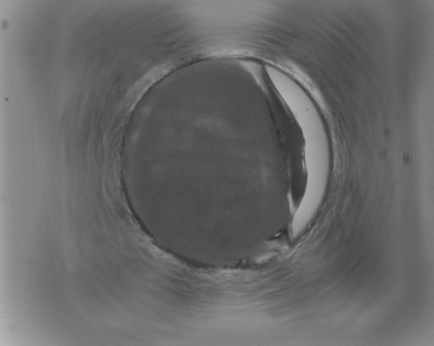 X0000071760385200607282153